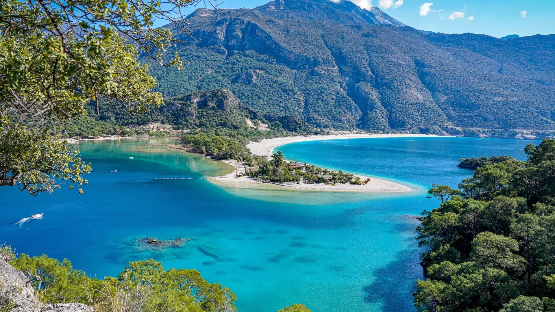 Turquoise Escape