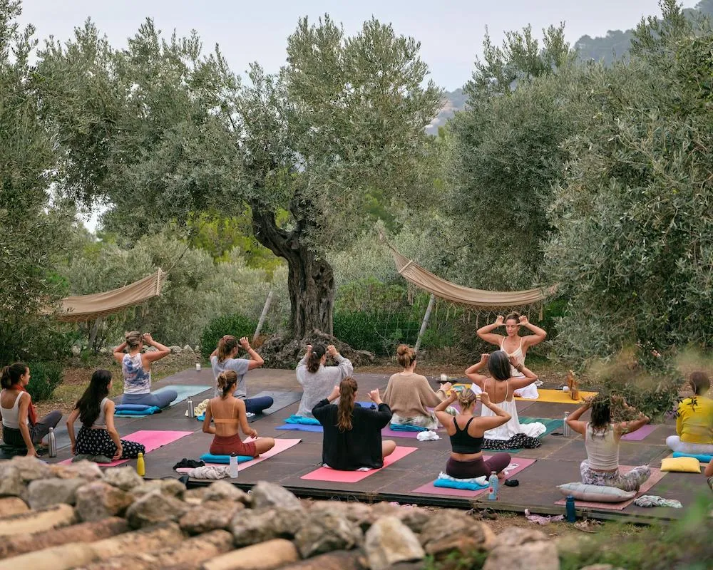 Group practicing yoga outdoors surrounded by ancient olive trees during a wellness retreat in Oludeniz, Turkey.