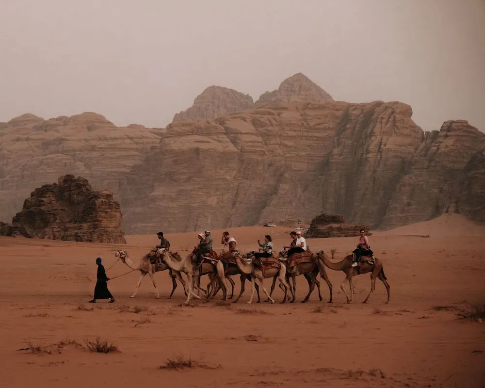 A caravan of camels crossing the vast red desert of Wadi Rum, Jordan.